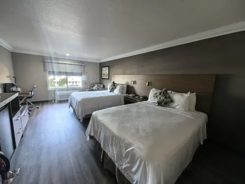 Best Western Plus Newport Mesa Inn Rooms Photos