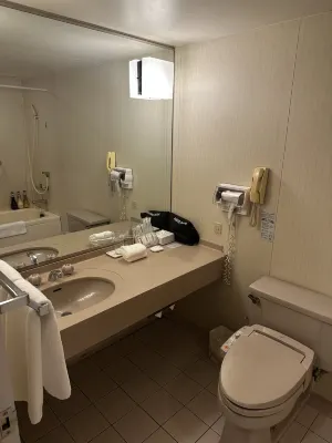 ANA Crowne Plaza Kobe Rooms Photos