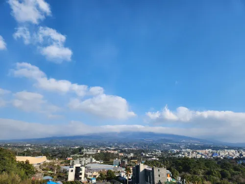 파크선샤인제주 호텔 주변 Photos