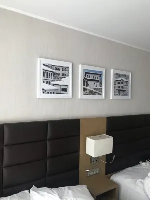 힐튼 가든 인 사프란볼루 객실 Photos