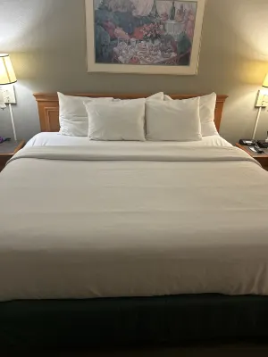 La Quinta Inn by Wyndham Norfolk Virginia Beach Chambres Photos