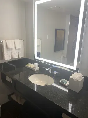 Hilton Miami Downtown Camere Photos