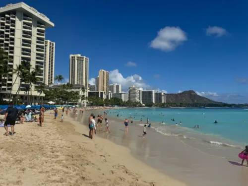 Kuhio Banyan Circondario Photos
