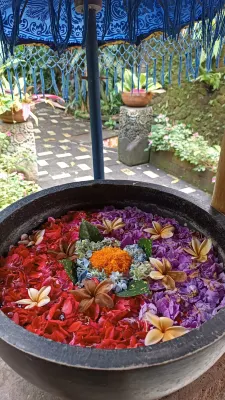 Menzel Ubud Photos