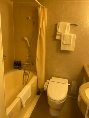 Hotel Lumiere Nishikasai Kamar Photos