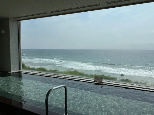 Shimoda Prince Hotel Relaksasi & Rekreasi Photos