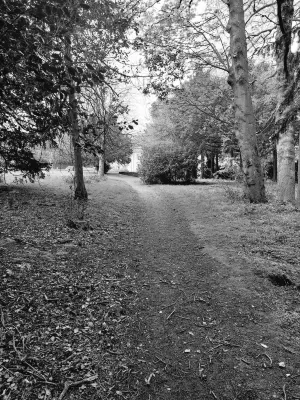 Wortley Hall Sheffield À proximité de l'hôtel Photos
