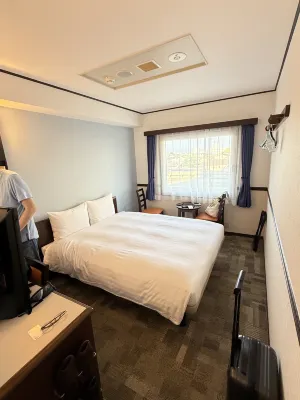 Toyoko Inn Jr Wakayama Eki Higashi Guchi Kamar Photos