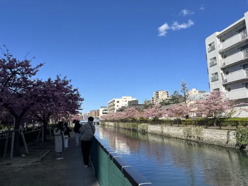 Toyoko Inn Tozai-Sen Kiba-Eki À proximité de l'hôtel Photos