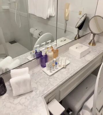 Dai-Ichi Hotel Tokyo Rooms Photos