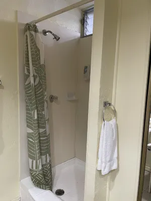 Kuhio Banyan Camere Photos