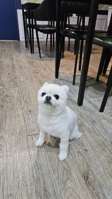 경주게스트하우스 프랜드 (Gyeongju Friend Guesthouse) Photos