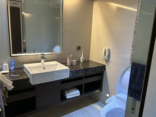 Century Hotel Taoyuan Kamar Photos