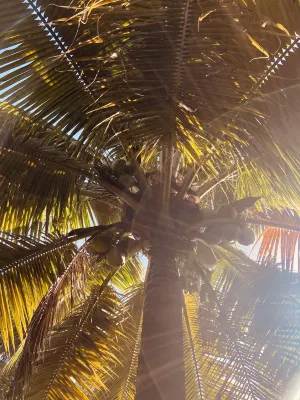 Meet Boutique Resort Photos