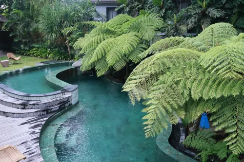 Amarea Resort Ubud by Ini VIE Hospitality Photos