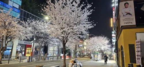 포레스타 호텔 신촌 호텔 주변 Photos