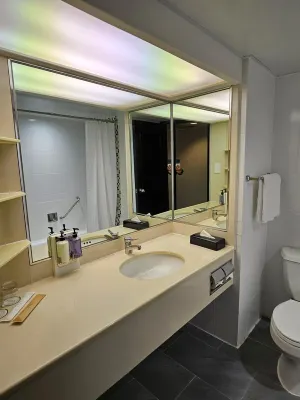 Panda Hotel Kamar Photos