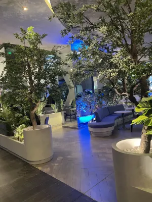 Sortis Hotel, Spa & Casino, Autograph Collection Espaces publics Photos