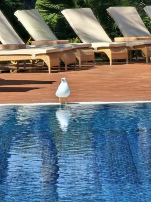 Pine Cliffs Residence, a Luxury Collection Resort, Algarve Relaksasi & Rekreasi Photos