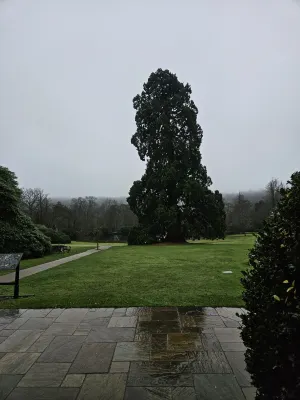 Ashdown Park Hotel Near Hotel Photos