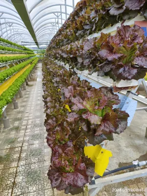 라달랏 호텔 Photos