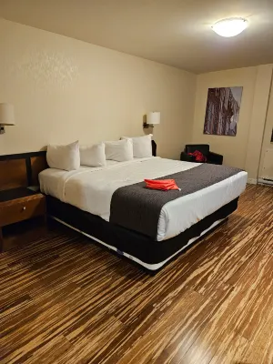 Hôtel & Suites le Dauphin Québec Chambres Photos