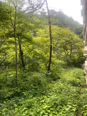 Hotel Yunishigawa À proximité de l'hôtel Photos