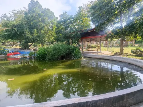 Tantai Eco Farm Stay at Khao Yai 호텔 주변 Photos