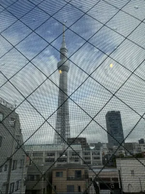 Nestay inn Tokyo skytree Dekat Hotel Photos