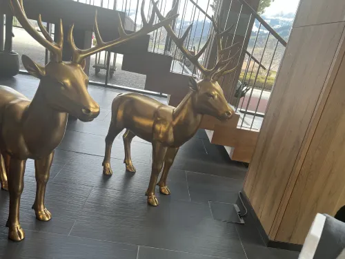 Kempinski Hotel Das Tirol Kitzbuehel Alps Photos