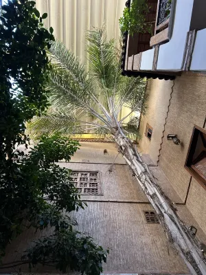 Riad Carina Photos