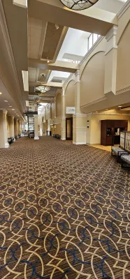 Sheraton Pentagon City Espaces publics Photos