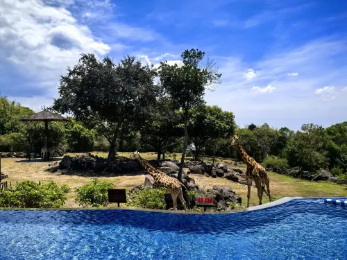 Baobab Safari Resort Relaksasi & Rekreasi Photos