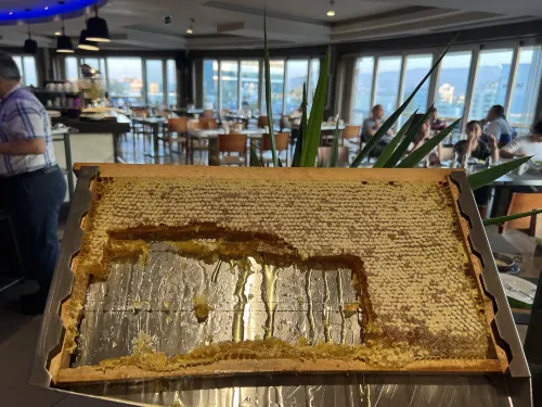 Renaissance Izmir Hotel Photos