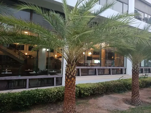 Pattaya Park Beach Resort Общественные зоны Photos
