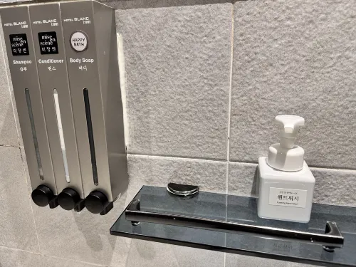 Hotel Blanc in Gangnam (Yeoksam) Photos
