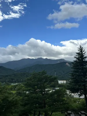 설악 파인리조트 호텔 주변 Photos