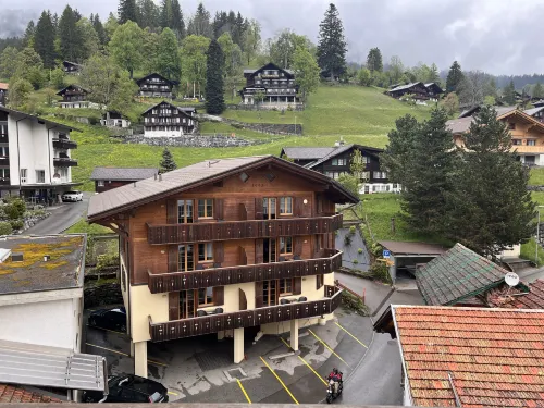 Hotel Bernerhof Grindelwald Public Areas Photos