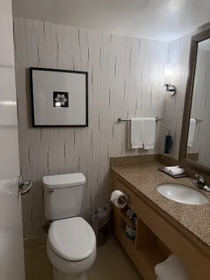 Hilton Los Angeles Airport Camere Photos