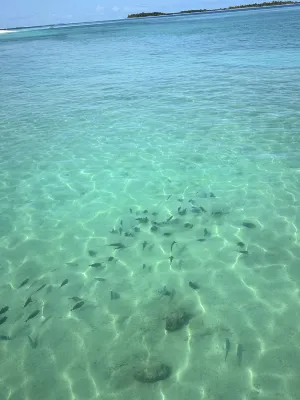 Ayada Maldives Рядом с отелем Photos