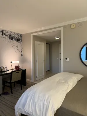 The Westin New Orleans Chambres Photos