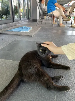 Well Timed Hotel Photos
