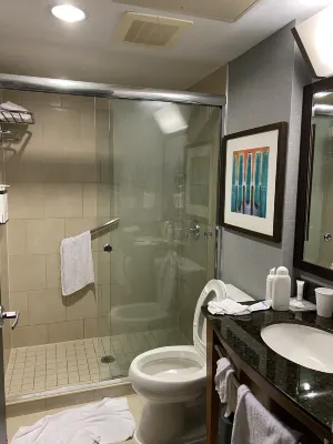 Hyatt Place New York/Midtown-South Chambres Photos