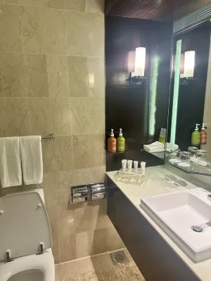 Holiday Inn Singapore Orchard City Centre Chambres Photos