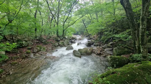 Gurye Little Prince Pension Area Publik Photos