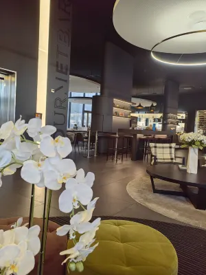 Novotel Basel City Aree comuni Photos
