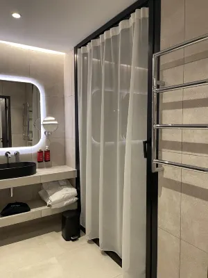 Pullman Lyon Chambres Photos