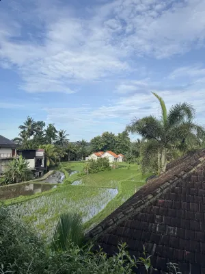 Cahaya Ubud Villa Dekat Hotel Photos