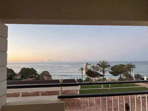 Pestana Alvor Praia Premium Beach & Golf Resort In der Nähe des Hotels Photos