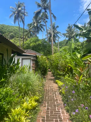 The Watergarden Hotel & Spa Photos